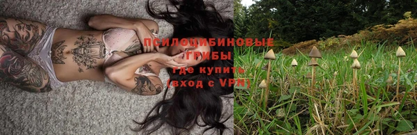 кокаин перу Вяземский